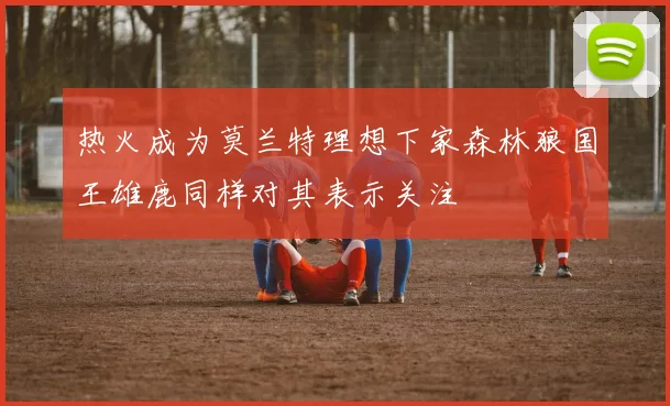 热火成为莫兰特理想下家森林狼国王雄鹿同样对其表示关注