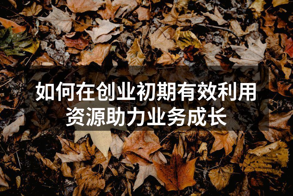 如何在创业初期有效利用资源助力业务成长